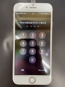 s__80019460