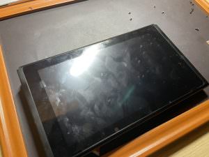 nintendo-swichi-battery-3