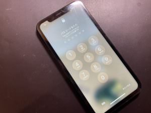 iphonexr_dispray0112_2