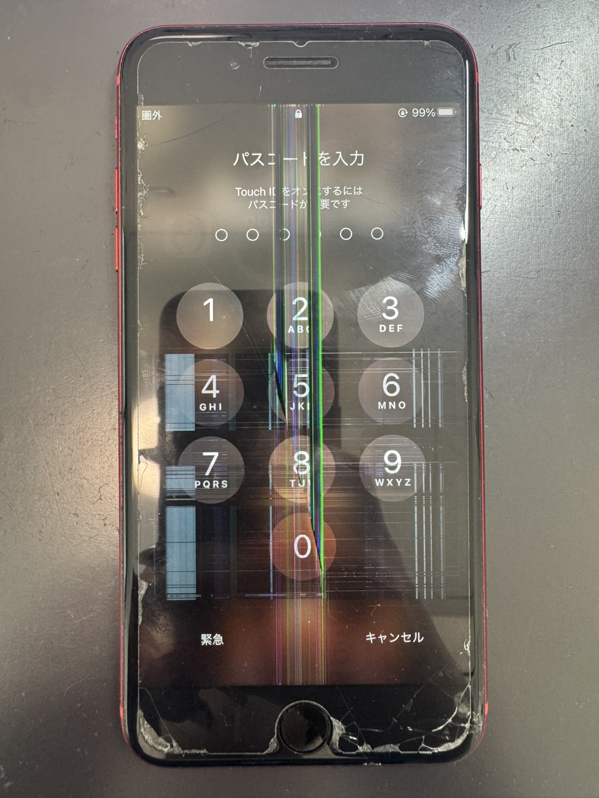 iPhoneSE第三世代】液晶画面に緑の線が表示されている！！そのまま放置