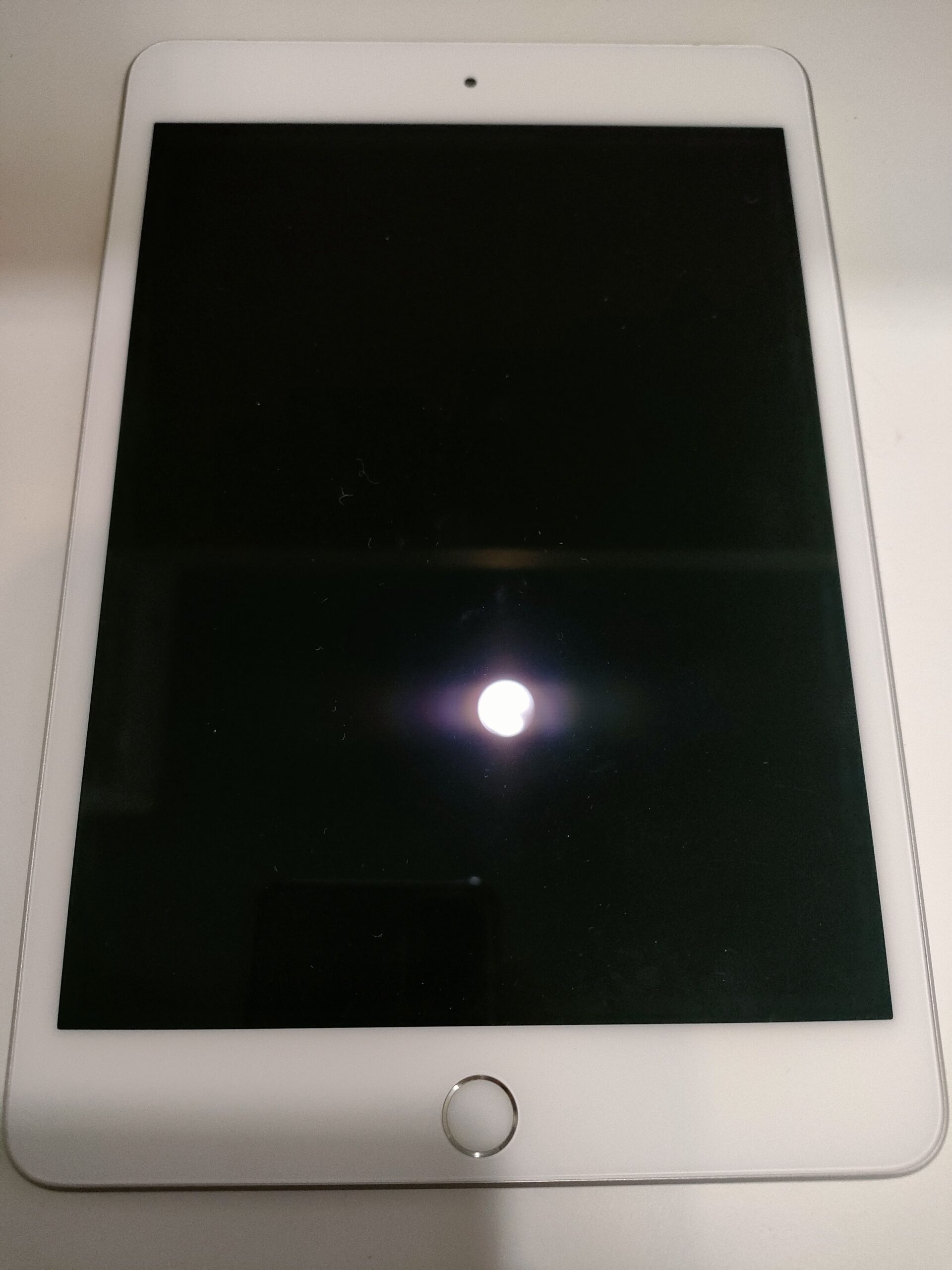 iPad mini5 A2124 ジャンク 画面映らず 通電OK iPad mini (第5世代) 音は鳴るけど画面が映らない症状もパーツ